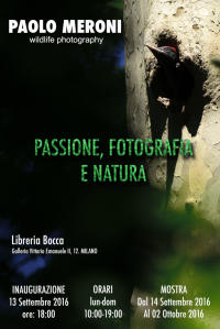 Paolo Meroni Passione Fotografie e Natura